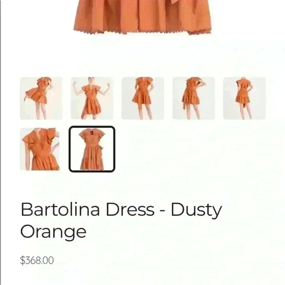 Secret mission, Valencia Bartolina dress  small, burnt orange knee length dress - Picture 8 of 14